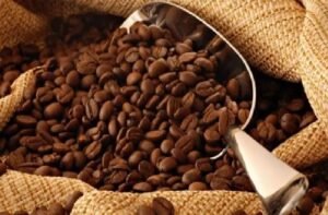 Kopi Arabika Toraja