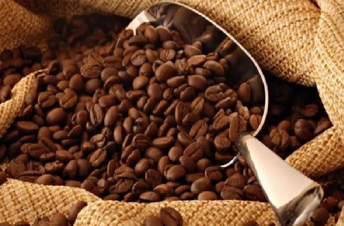 kopi_arabika_toraja