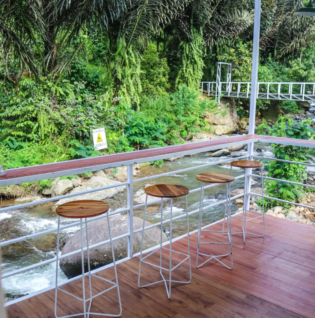 Kopi tepi hutan sentul view